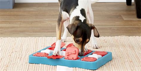 9 Best Dog Puzzle Toys That Actually Keep Your ...